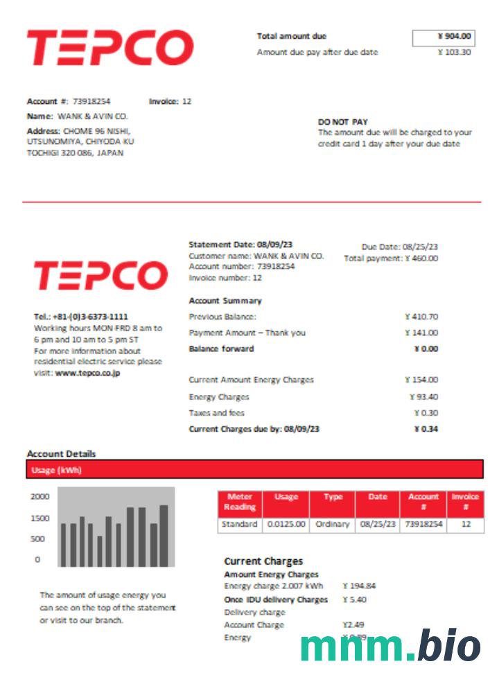 Tokyo Electric Power Company (TEPCO) rachunek za energię elektryczną